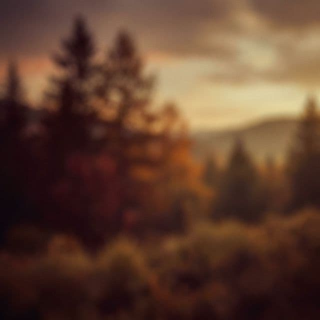 Peaceful Background