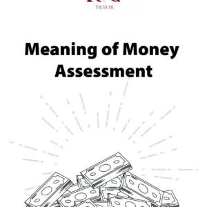 Meaning of Money Assessment