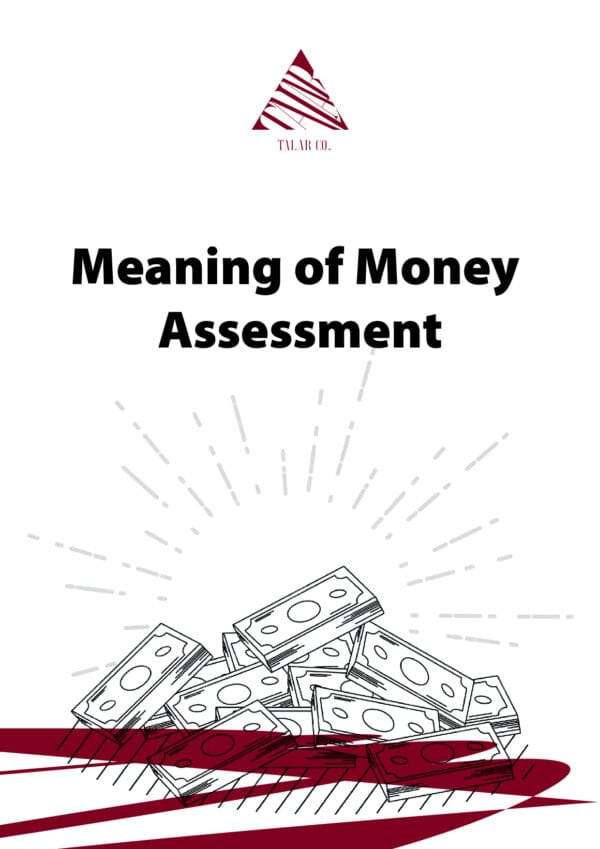 Meaning of Money Assessment